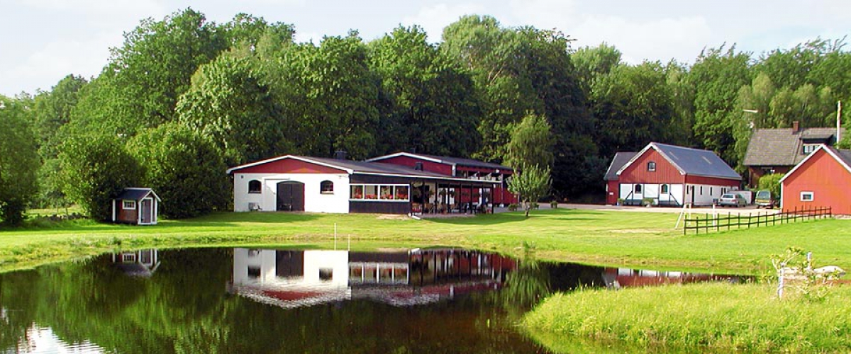 Flädergården-och-pelargonhuset